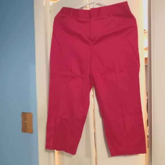 🩷 NWOT Womens Pink 212 Company Capris Size 2/4 Pockets Preppy Golf Lunch - Picture 4 of 4